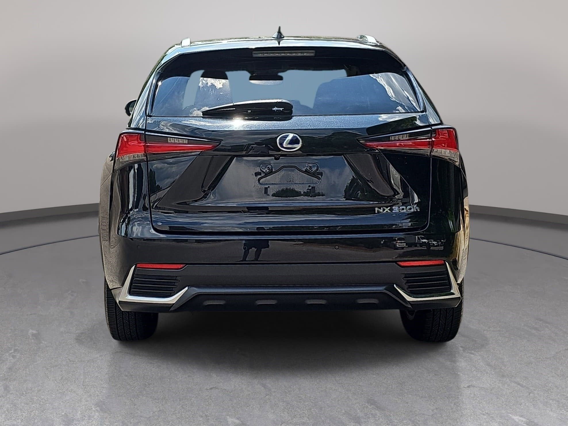 2020 Lexus NX NX 300h